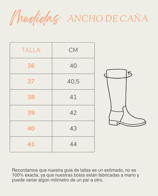 BOTAS ALTAS DE PIEL CAÑA ANCHA JULIETA MOKA